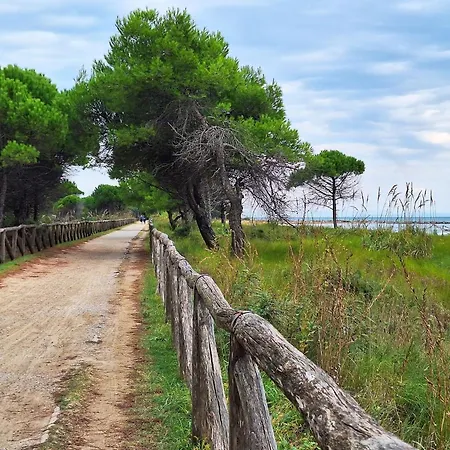Flat 100m From The With Sunny Terrace Apartment Bibione